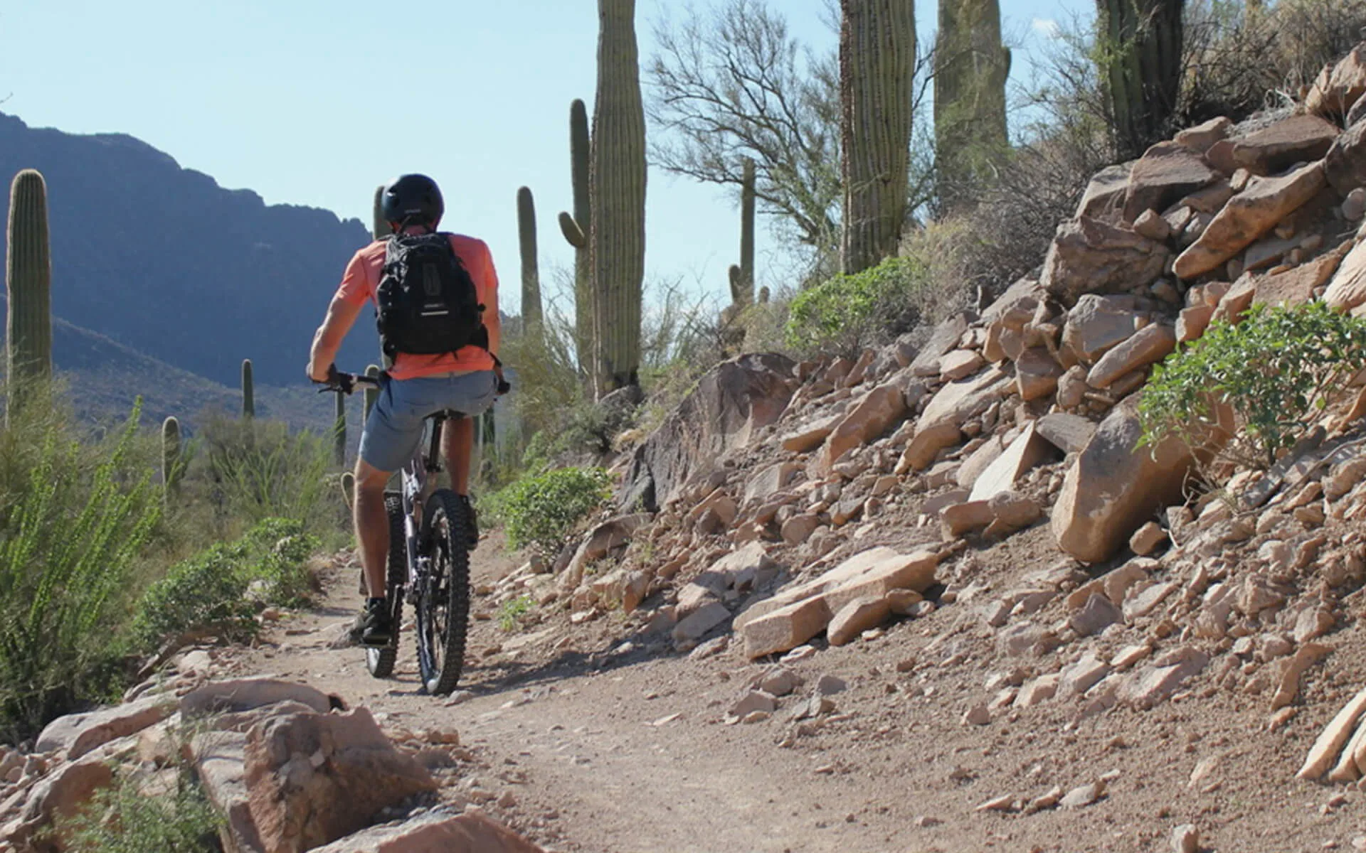 biking in arizona